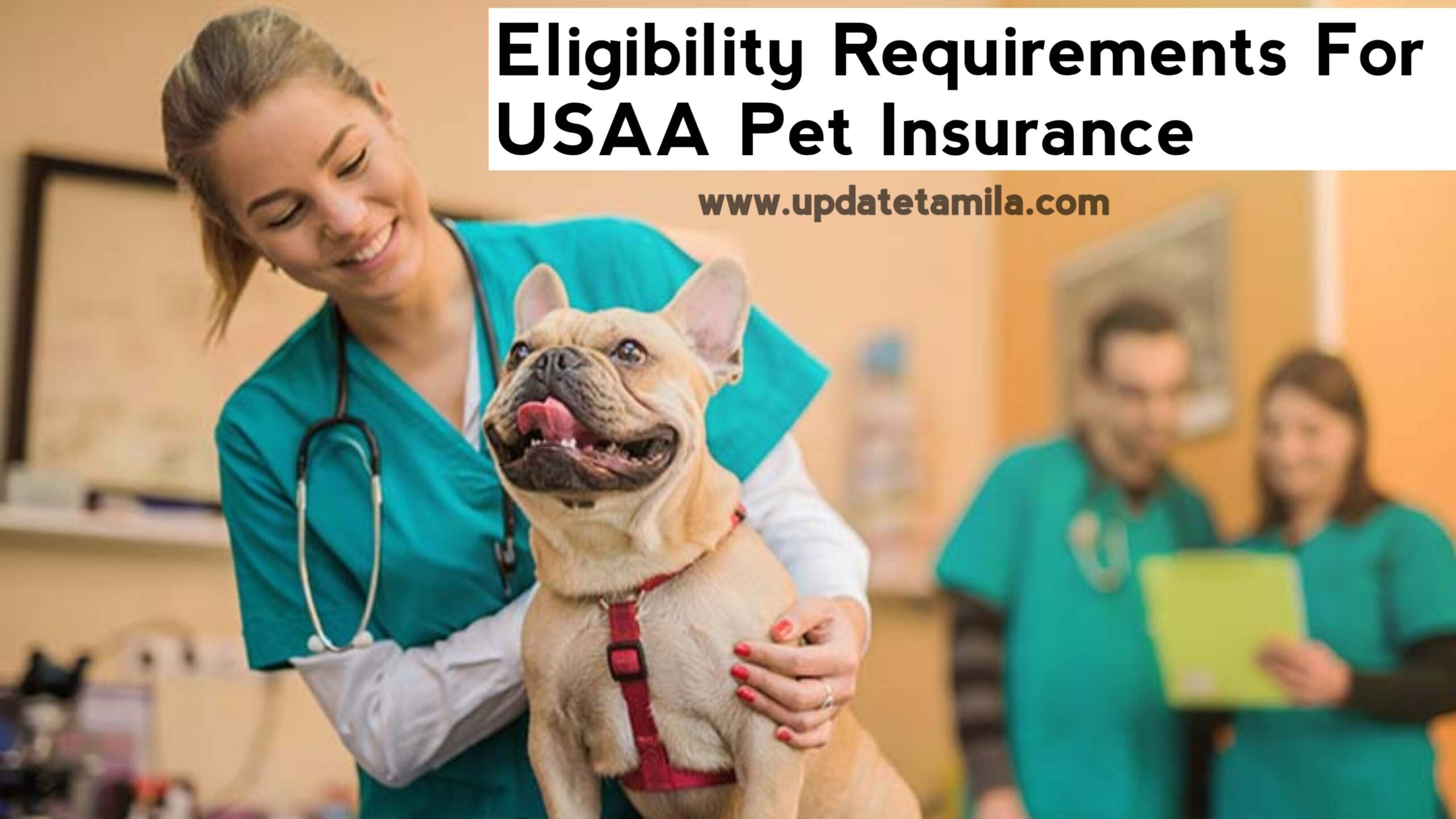 Eligibility Requirements for USAA Pet Insurance