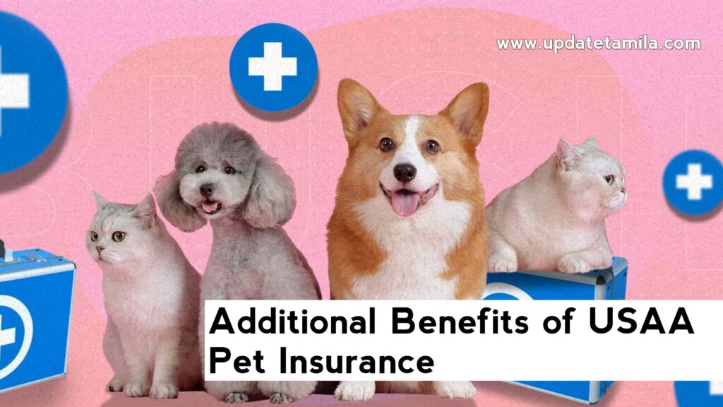 Additional Benefits of USAA Pet Insurance