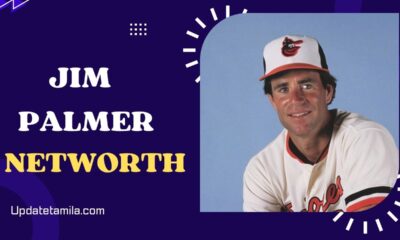 Jim Palmer Net Worth